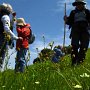 Creamcups dotted the Woodrat – Windmill junction. With a permit, the trail continues onto EBMUD lands.